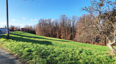 Haus-Bilder