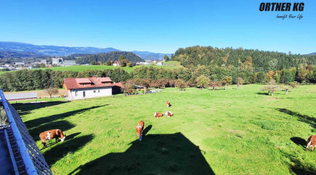 Haus-Bilder